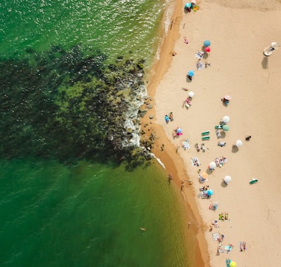 Why booking early doesn't always mean booking cheap
